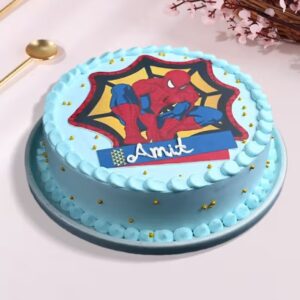 Spiderman Web Cake